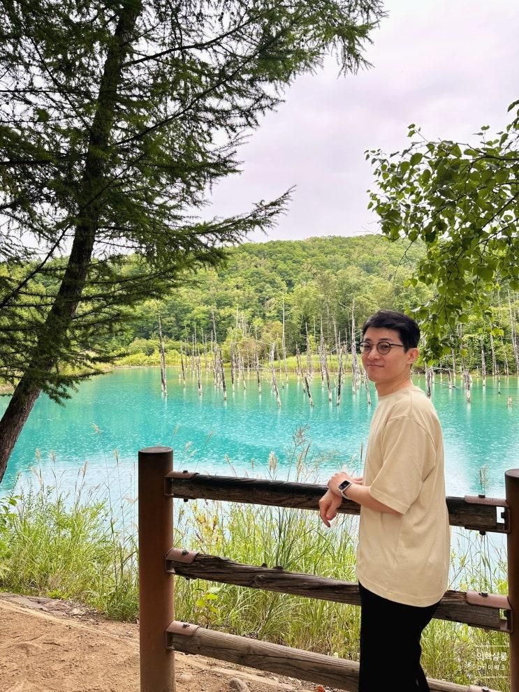 아이랑 홋카이도🗾#4. 청의 호수 青い池 Blue Pond