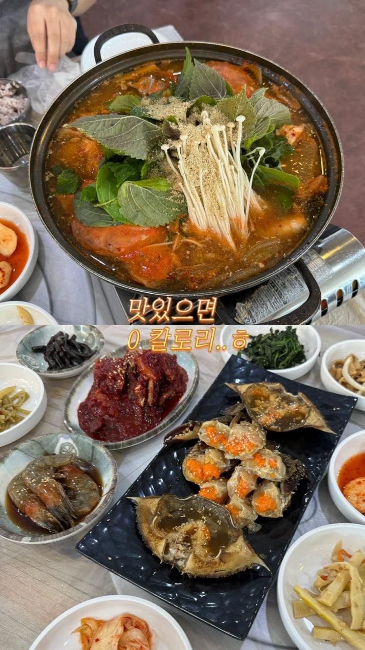 태안 아일랜드 리솜 근처 맛집 아그집 내돈내산 게국지·게장 세트 아이 칼국수