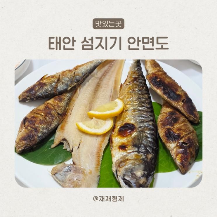 태안 백사장항 맛집 아기랑 가기 좋은 섬지기 안면도
