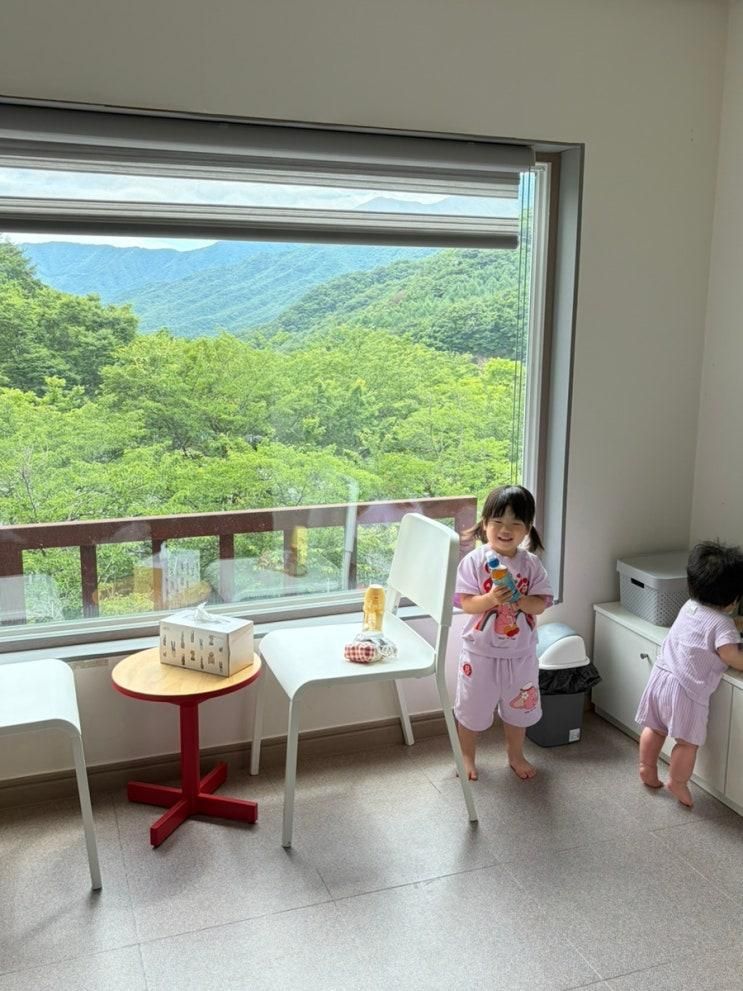 경주 캠프포레스트 28개월,8개월아기랑 방갈로 두번 다녀온 후기(봄, 여름)