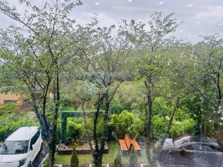 [안산] 통창 뷰와 베이커리가 있는 힐링 카페, 소나로 커피 🌿