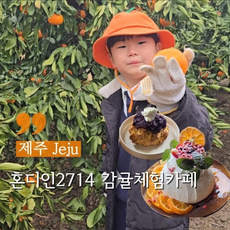 제주 아이랑가기좋은 혼디인2714 감귤체험카페