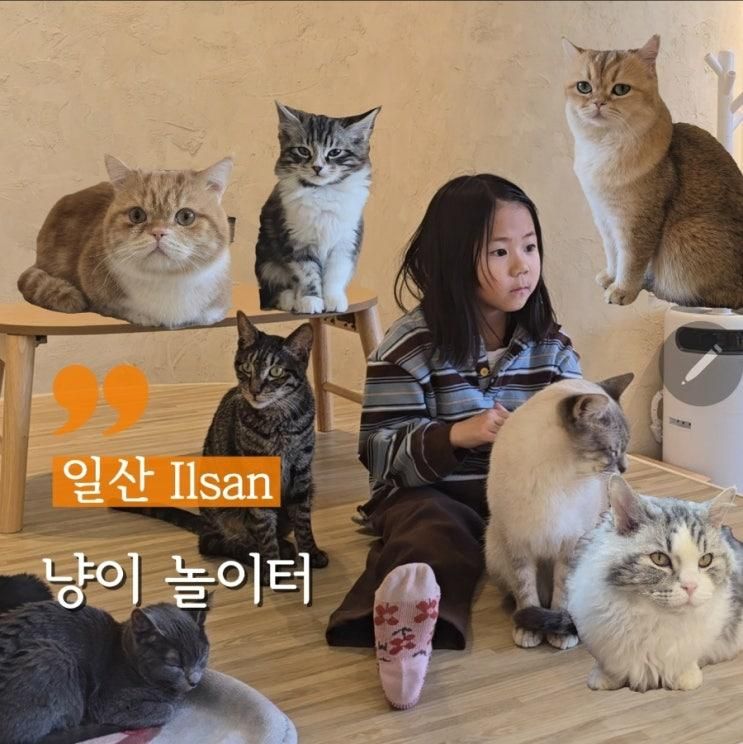 일산 아이랑 가기좋은 곳 댕냥이랑 데이트 냥이놀이터