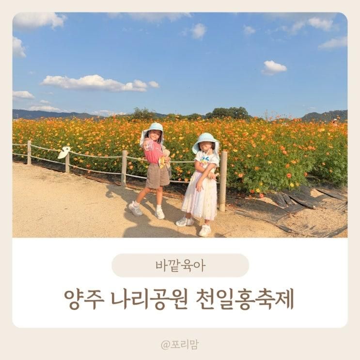 양주 나리공원 천일홍축제 아이랑 입장료 주차 먹거리 공연 체험 기간