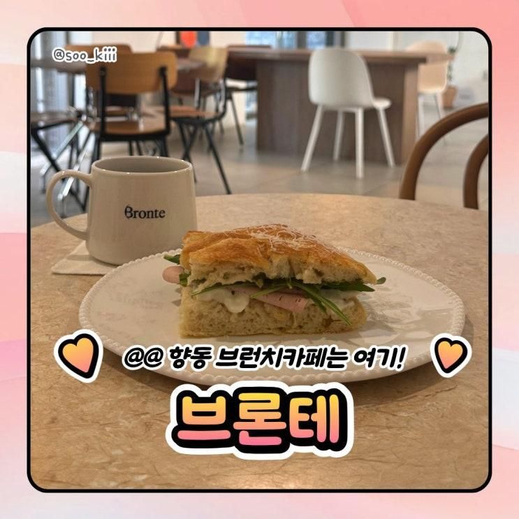 향동 브런치카페 브론테, 직접 만든 포카치아 샌드위치와 예쁜 테라스