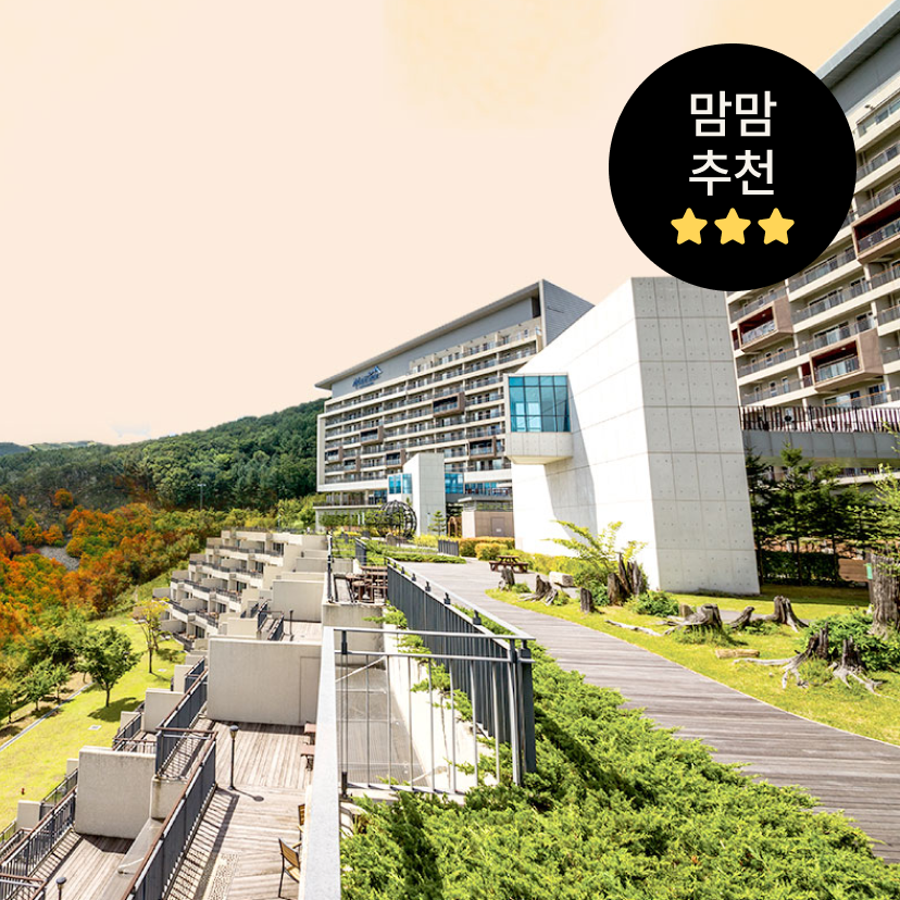 하이원 리조트 가을힐링 케이블카 패키지 특가
