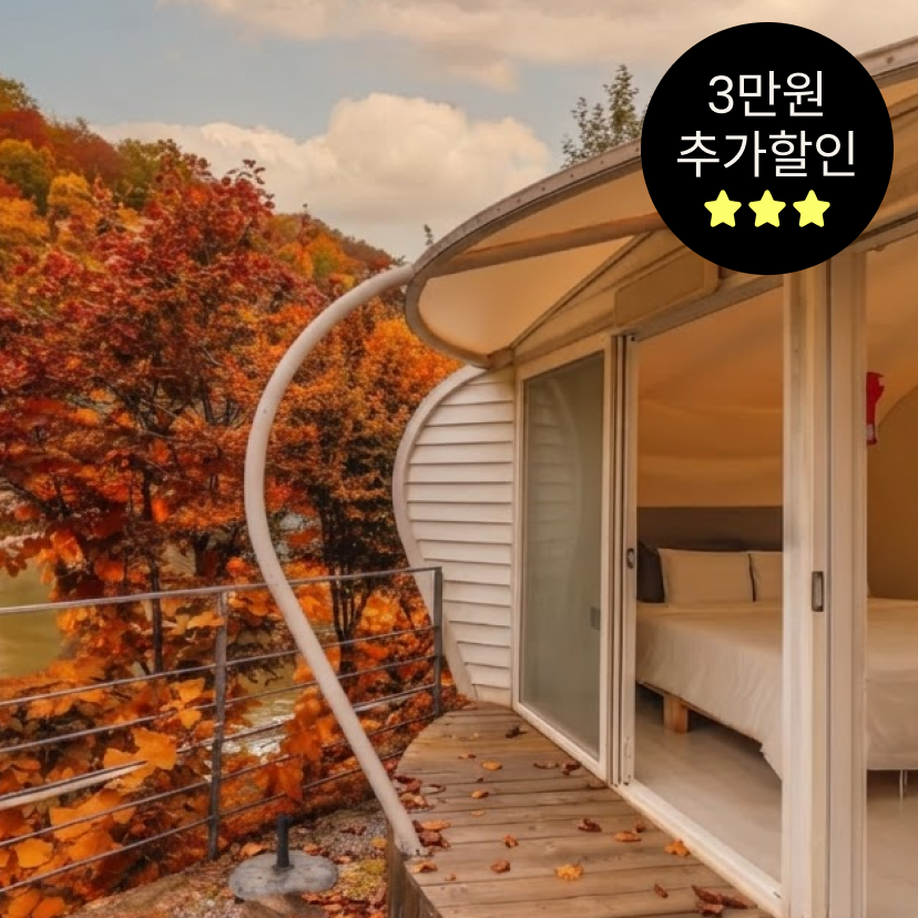 [가세페] 캠프통 아일랜드&포레스트 단독 초특가