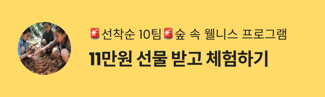 🚨선착순 10팀🚨숲 속 웰니스 프로그램 체험하고 11만원 상당 선물까지!🤩-banner-image