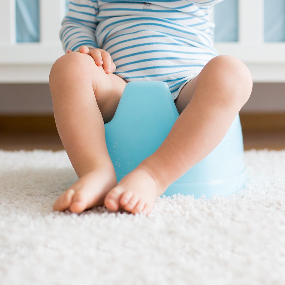 배변 훈련법의 4단계와 주의점