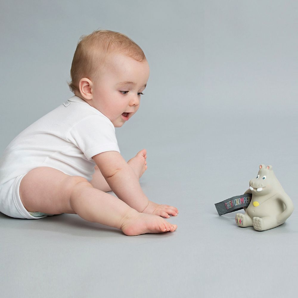 11~16개월 육아퀘스트가 도착했어요!