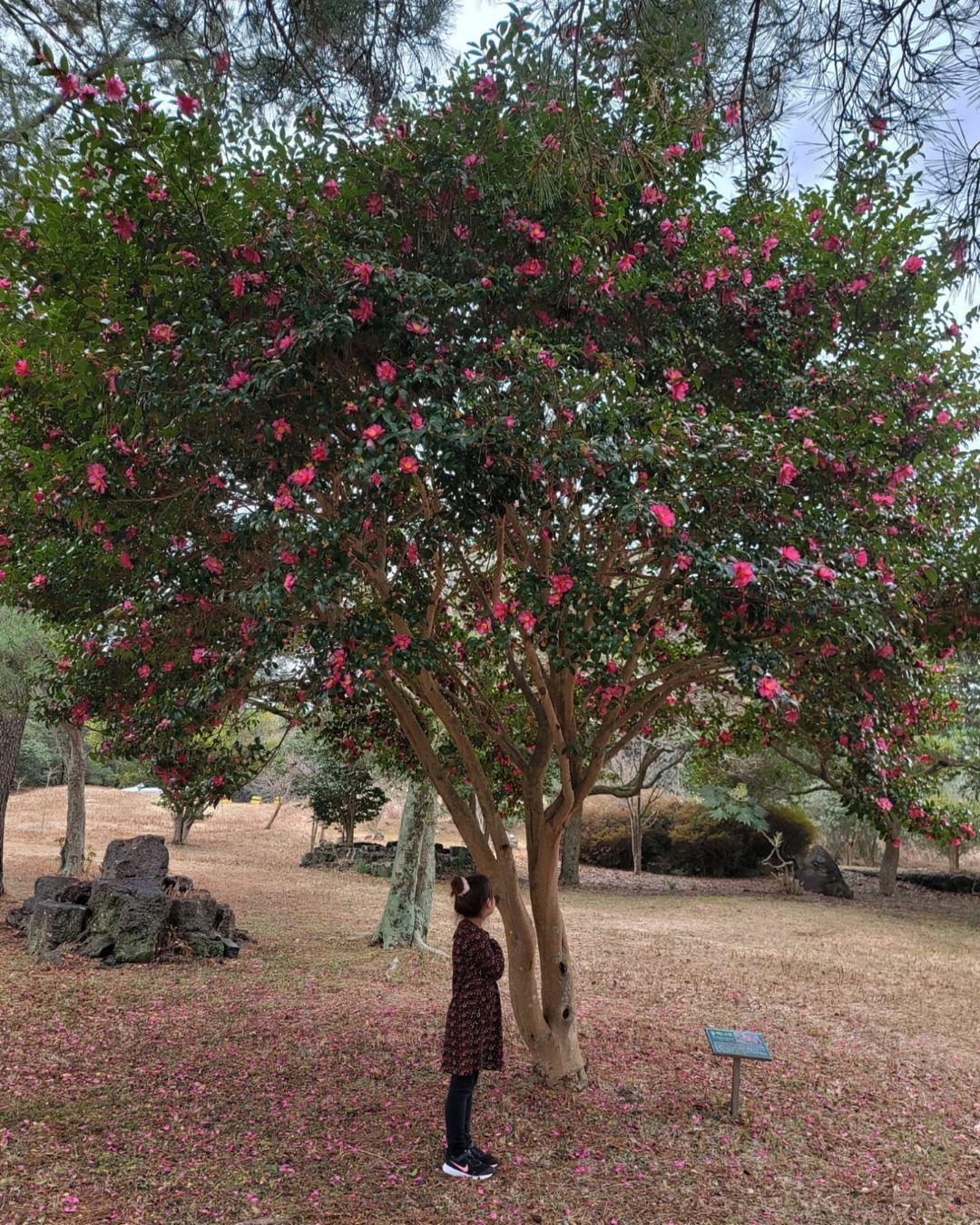 https://image.mom-mom.net/eyJidWNrZXQiOiJtb21tb20tbW9tc3RvdWNoIiwia2V5IjoibWlncmF0ZWQvcGxhY2VzLzYyZDYzNDJlNjk1ODczMzRmYjAxOWI3ZiIsImVkaXRzIjp7InJlc2l6ZSI6eyJ3aWR0aCI6NTAwLCJ3aXRob3V0RW5sYXJnZW1lbnQiOnRydWV9fX0=