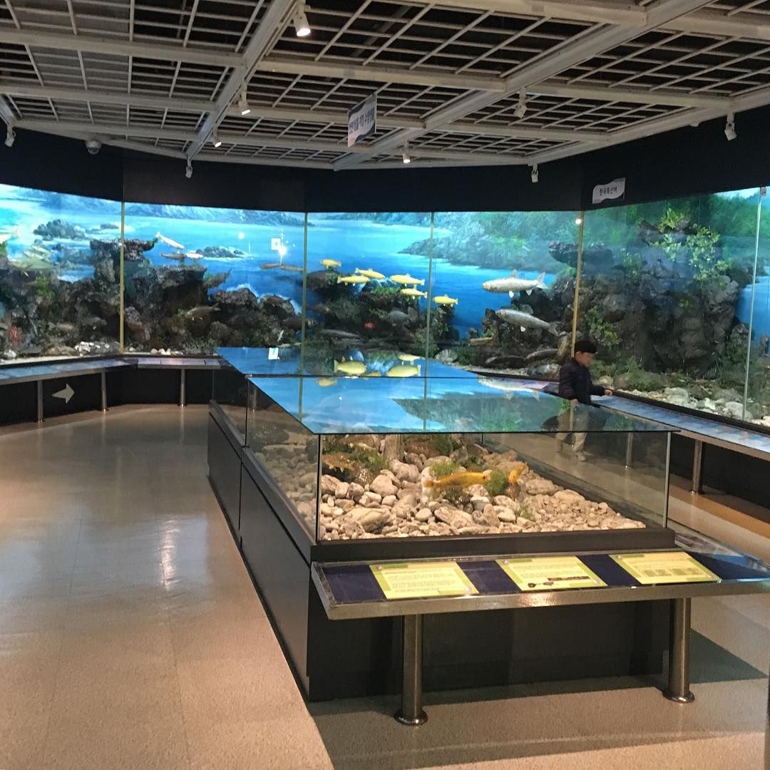 부산해양자연사박물관