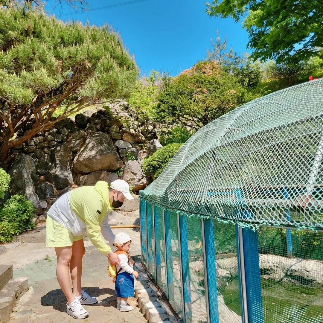 https://image.mom-mom.net/eyJidWNrZXQiOiJtb21tb20tbW9tc3RvdWNoIiwia2V5IjoibWlncmF0ZWQvcGxhY2VzLzYyZDYzNmJmNjk1ODczMzRmYjAxYTdiMyIsImVkaXRzIjp7InJlc2l6ZSI6eyJ3aWR0aCI6NTAwLCJ3aXRob3V0RW5sYXJnZW1lbnQiOnRydWV9fX0=