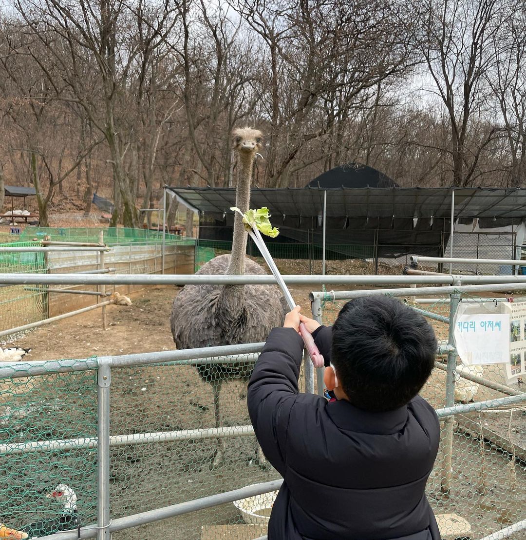 찬우물 체험 동물농장