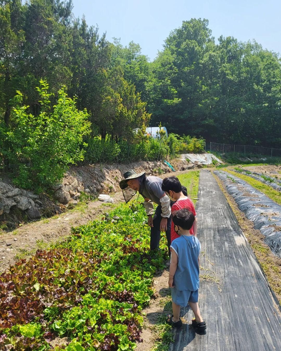 Hinoki Forest Experience Farm | Experience/Class in Daegu, Korea