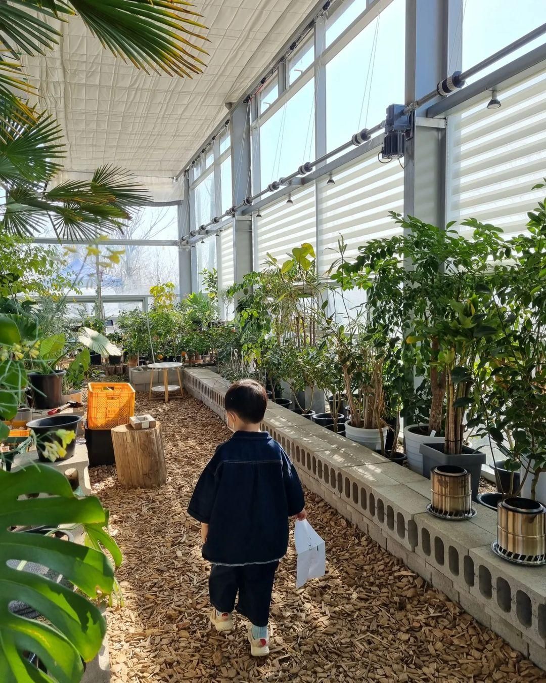 https://image.mom-mom.net/eyJidWNrZXQiOiJtb21tb20tbW9tc3RvdWNoIiwia2V5IjoibWlncmF0ZWQvcGxhY2VzLzYyZDYzODM2Njk1ODczMzRmYjAxYWU1MSIsImVkaXRzIjp7InJlc2l6ZSI6eyJ3aWR0aCI6NTAwLCJ3aXRob3V0RW5sYXJnZW1lbnQiOnRydWV9fX0=