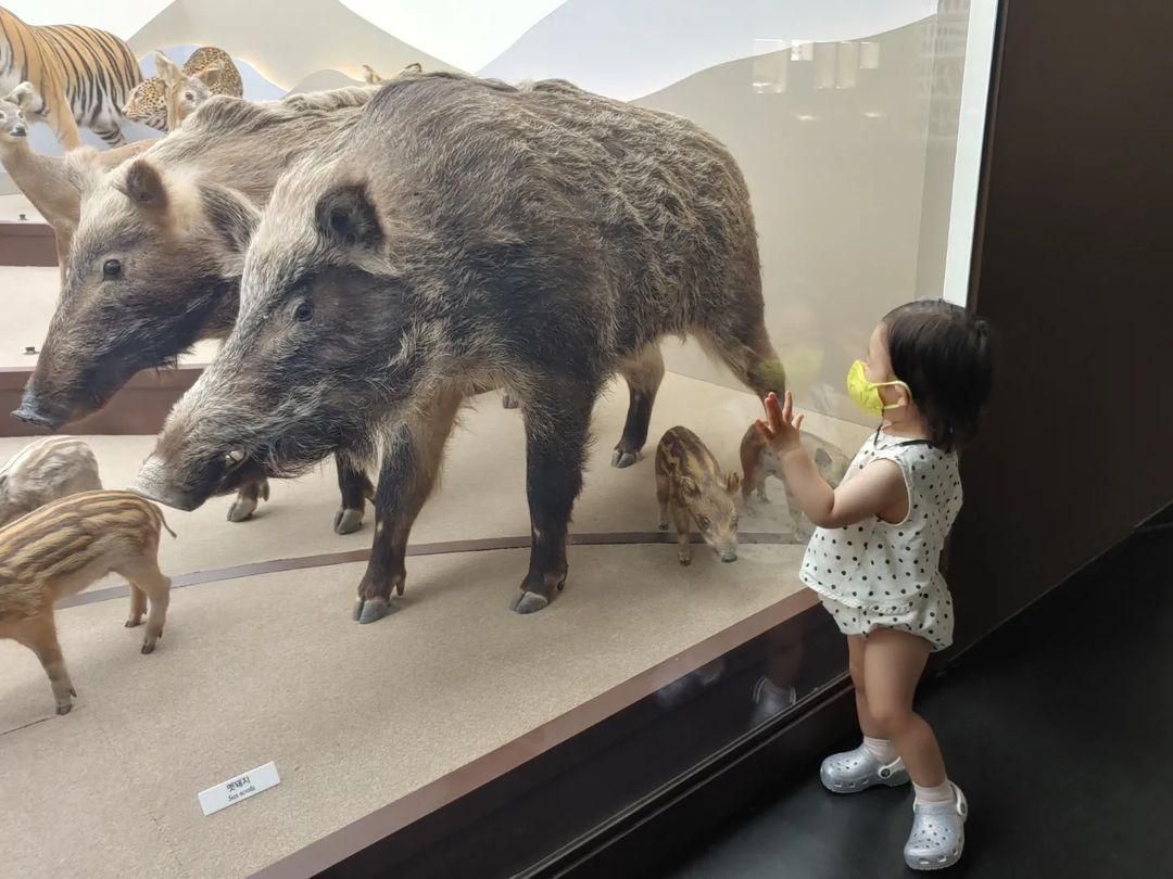 https://image.mom-mom.net/eyJidWNrZXQiOiJtb21tb20tbW9tc3RvdWNoIiwia2V5IjoibWlncmF0ZWQvcGxhY2VzLzYyZDYzMmNkNjk1ODczMzRmYjAxOTUxMSIsImVkaXRzIjp7InJlc2l6ZSI6eyJ3aWR0aCI6NTAwLCJ3aXRob3V0RW5sYXJnZW1lbnQiOnRydWV9fX0=