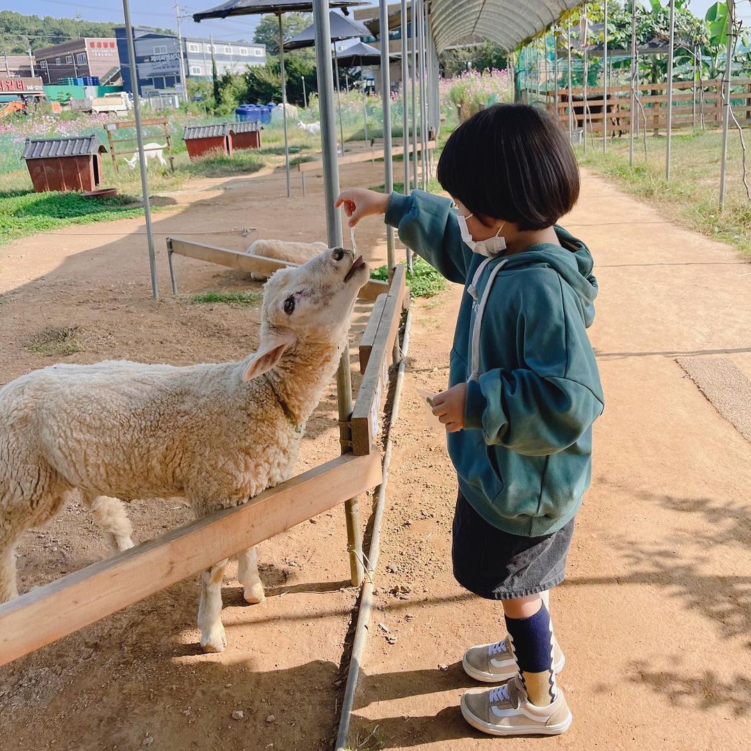 나눔농장(파주)