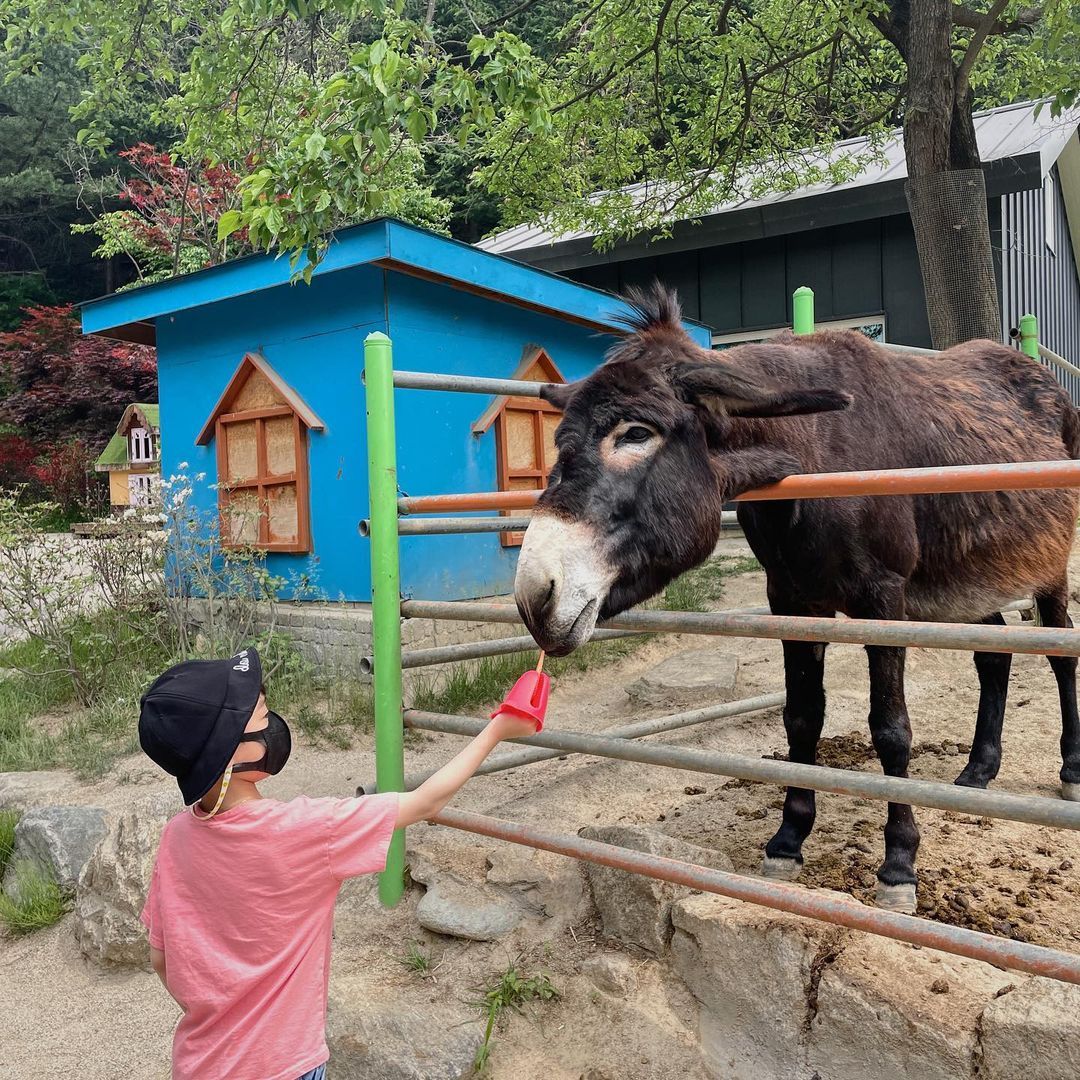 아침고요가족동물원