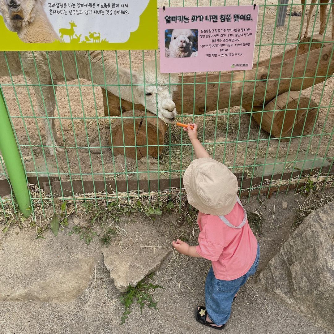 https://image.mom-mom.net/eyJidWNrZXQiOiJtb21tb20tbW9tc3RvdWNoIiwia2V5IjoibWlncmF0ZWQvcGxhY2VzLzYyZjViMWE3NjdkOWNlYWM0NDU3MjQ1NyIsImVkaXRzIjp7InJlc2l6ZSI6eyJ3aWR0aCI6NTAwLCJ3aXRob3V0RW5sYXJnZW1lbnQiOnRydWV9fX0=