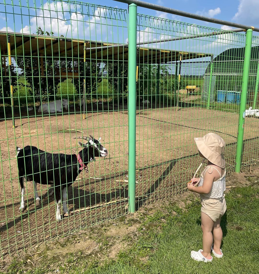 https://image.mom-mom.net/eyJidWNrZXQiOiJtb21tb20tbW9tc3RvdWNoIiwia2V5IjoibWlncmF0ZWQvcGxhY2VzLzYzNDc2YTI4MTY1ODkzZjE0YWY3MjZkOSIsImVkaXRzIjp7InJlc2l6ZSI6eyJ3aWR0aCI6NTAwLCJ3aXRob3V0RW5sYXJnZW1lbnQiOnRydWV9fX0=
