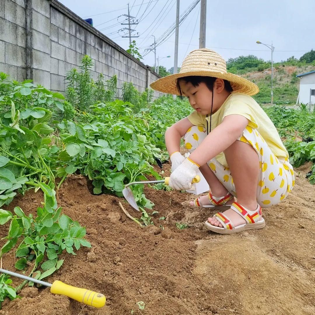 좋은버섯들