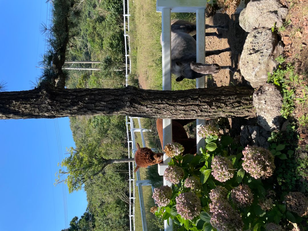 https://image.mom-mom.net/eyJidWNrZXQiOiJtb21tb20tbW9tc3RvdWNoIiwia2V5IjoibWlncmF0ZWQvcGxhY2VzLzYzNjliYmJlOTRiYWYwZjJjMzdjOTAzMSIsImVkaXRzIjp7InJlc2l6ZSI6eyJ3aWR0aCI6NTAwLCJ3aXRob3V0RW5sYXJnZW1lbnQiOnRydWV9fX0=