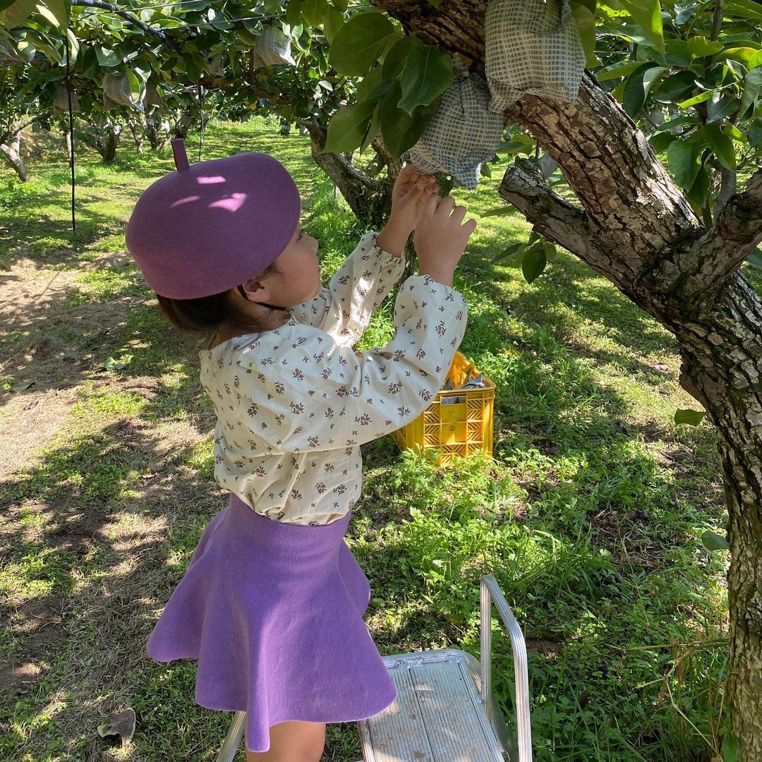 누렁이과수원