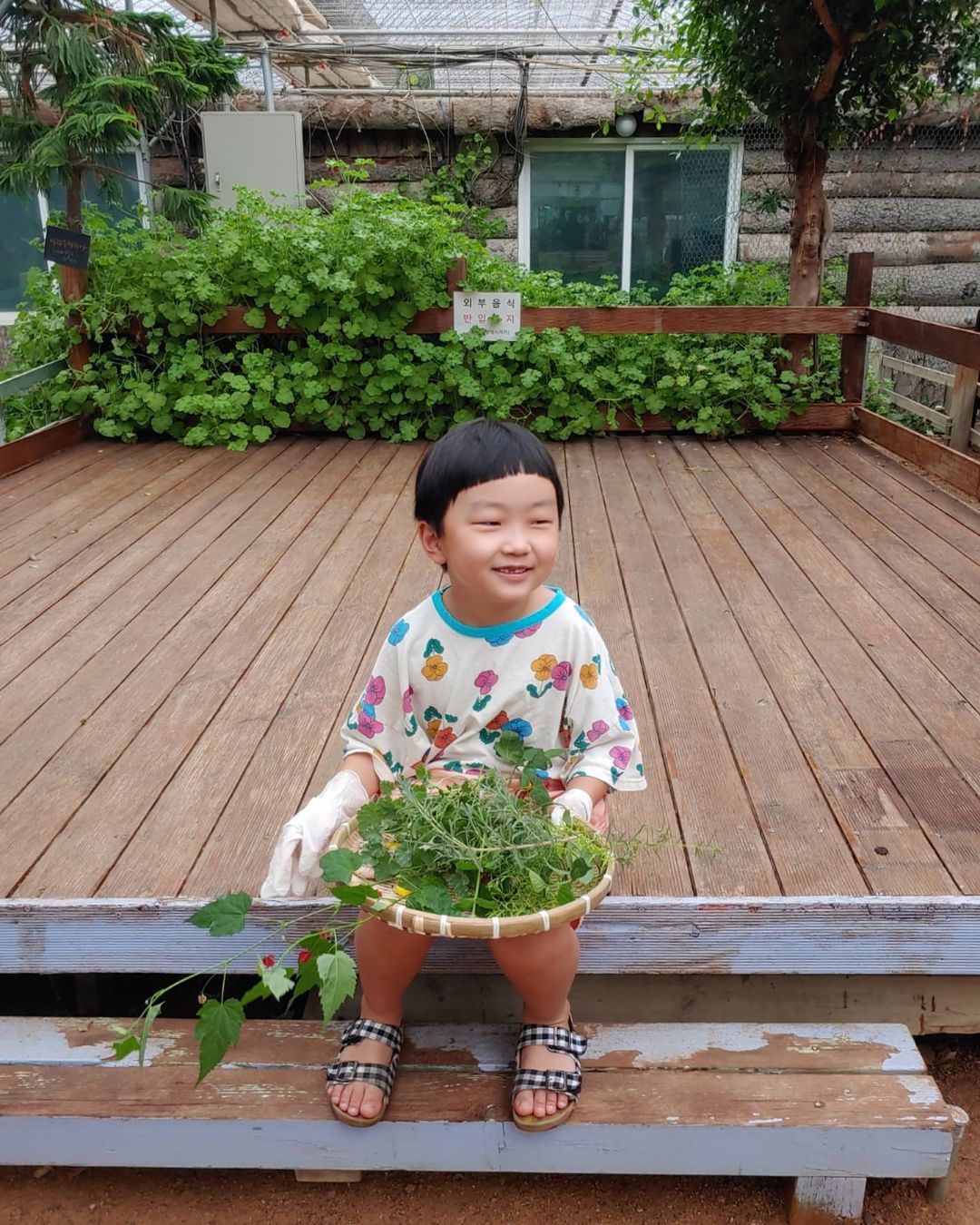 https://image.mom-mom.net/eyJidWNrZXQiOiJtb21tb20tbW9tc3RvdWNoIiwia2V5IjoibWlncmF0ZWQvcGxhY2VzLzYzOTAwZDRmY2YzNjgwYmRmMDEwNDA4OSIsImVkaXRzIjp7InJlc2l6ZSI6eyJ3aWR0aCI6NTAwLCJ3aXRob3V0RW5sYXJnZW1lbnQiOnRydWV9fX0=