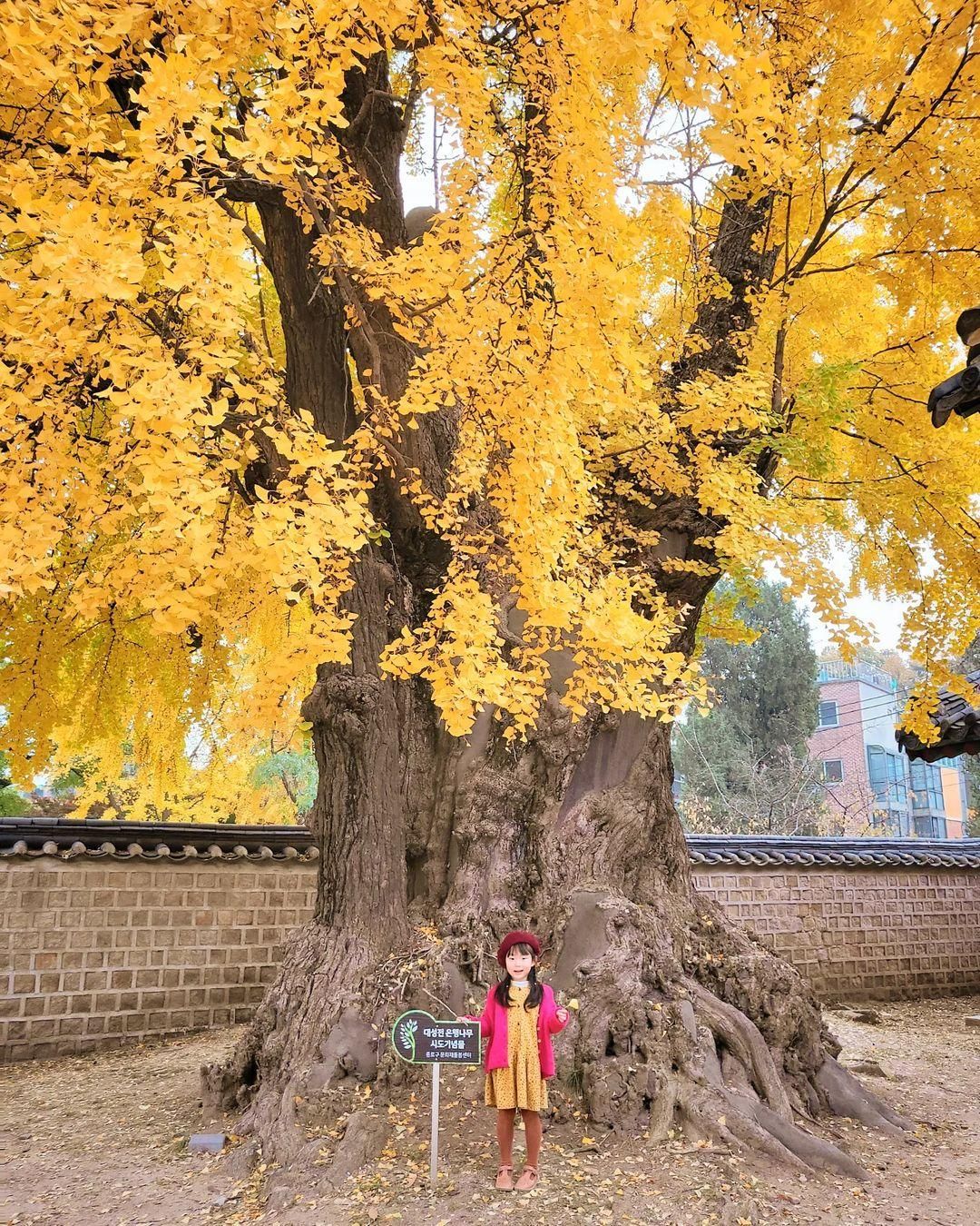 https://image.mom-mom.net/eyJidWNrZXQiOiJtb21tb20tbW9tc3RvdWNoIiwia2V5IjoibWlncmF0ZWQvcGxhY2VzLzYzYTNjNDAyNzU5YmM4M2QzYzUwOTUzMyIsImVkaXRzIjp7InJlc2l6ZSI6eyJ3aWR0aCI6NTAwLCJ3aXRob3V0RW5sYXJnZW1lbnQiOnRydWV9fX0=