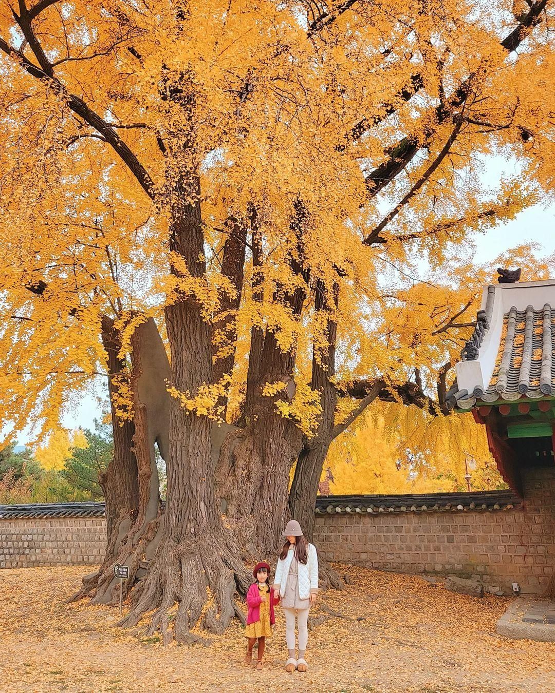 성균관대 명륜당