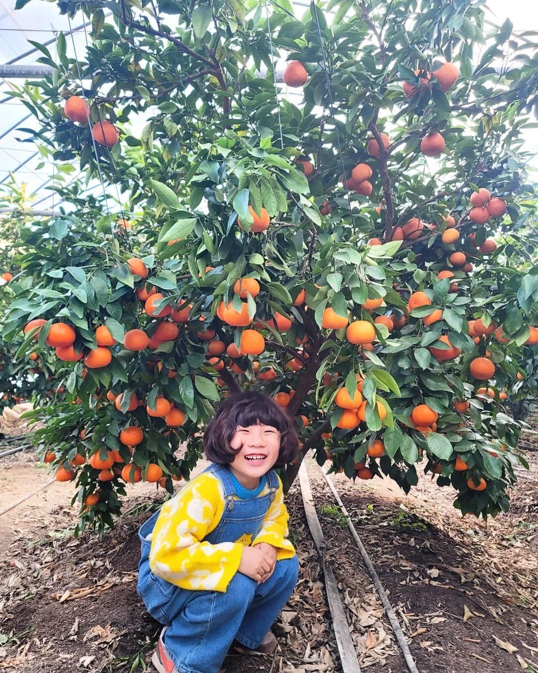 하늘빛농원