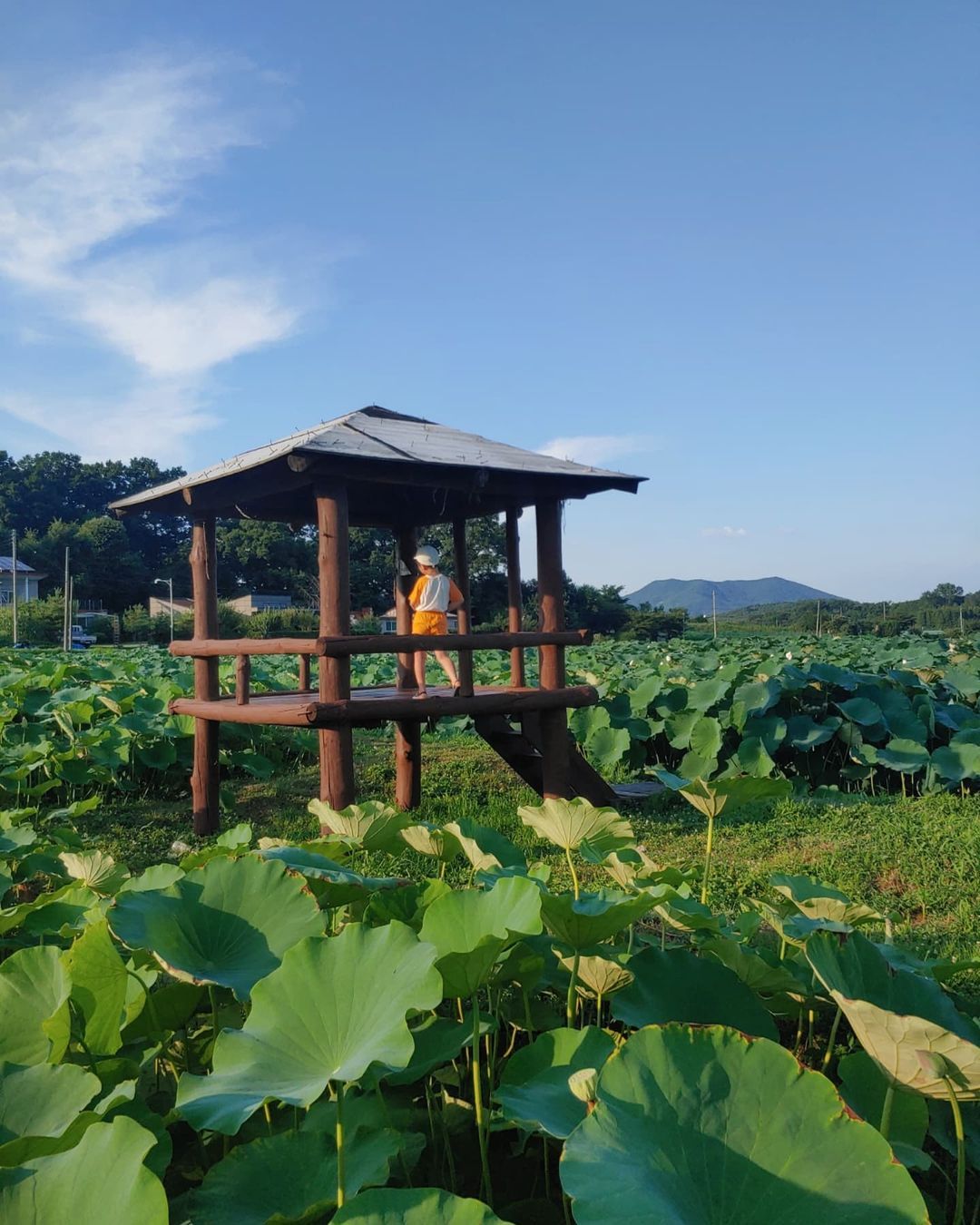 내동마을