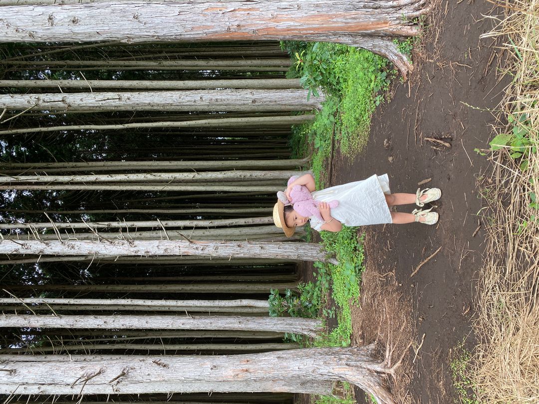 https://image.mom-mom.net/eyJidWNrZXQiOiJtb21tb20tbW9tc3RvdWNoIiwia2V5IjoibWlncmF0ZWQvcGxhY2VzLzYzZTljNjQwZWZhOTE3YWI2YWI5N2Y1NiIsImVkaXRzIjp7InJlc2l6ZSI6eyJ3aWR0aCI6NTAwLCJ3aXRob3V0RW5sYXJnZW1lbnQiOnRydWV9fX0=