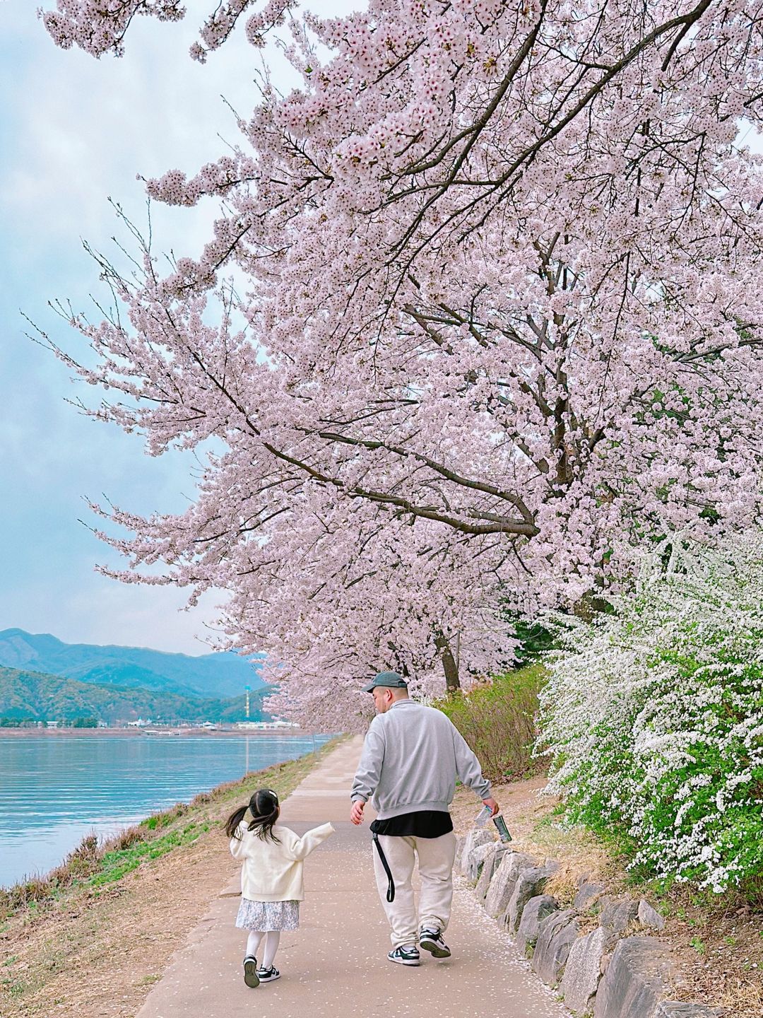 https://image.mom-mom.net/eyJidWNrZXQiOiJtb21tb20tbW9tc3RvdWNoIiwia2V5IjoibWlncmF0ZWQvcGxhY2VzLzY0NTllYWEyZjQzZWRmNjc3YzQ1NWY2MCIsImVkaXRzIjp7InJlc2l6ZSI6eyJ3aWR0aCI6NTAwLCJ3aXRob3V0RW5sYXJnZW1lbnQiOnRydWV9fX0=