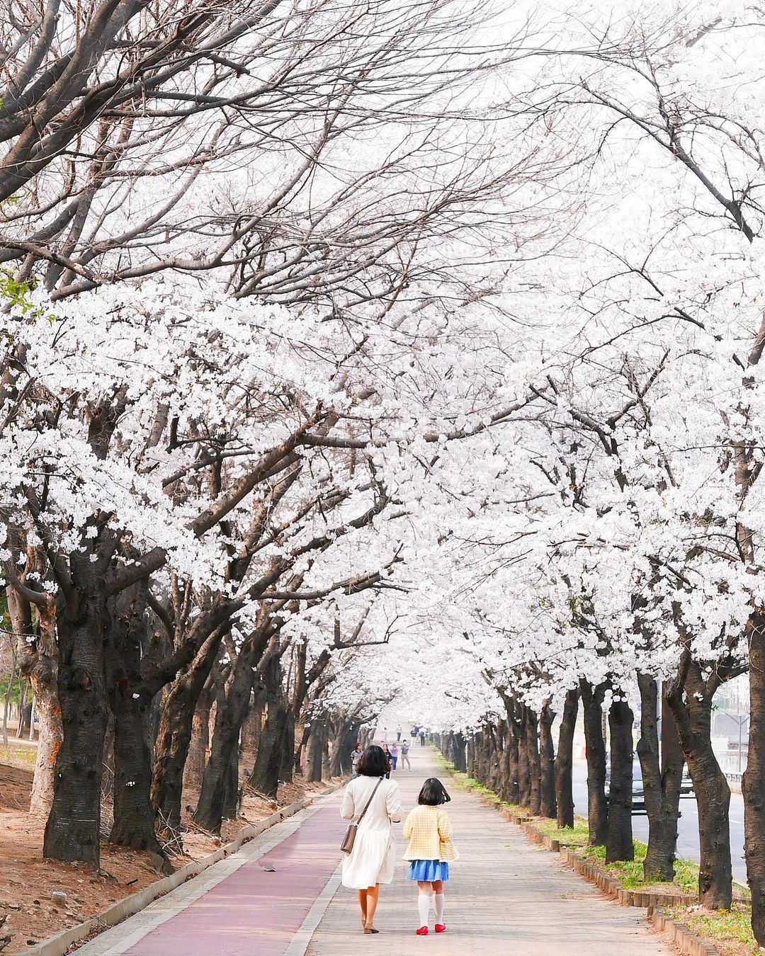 관문체육공원