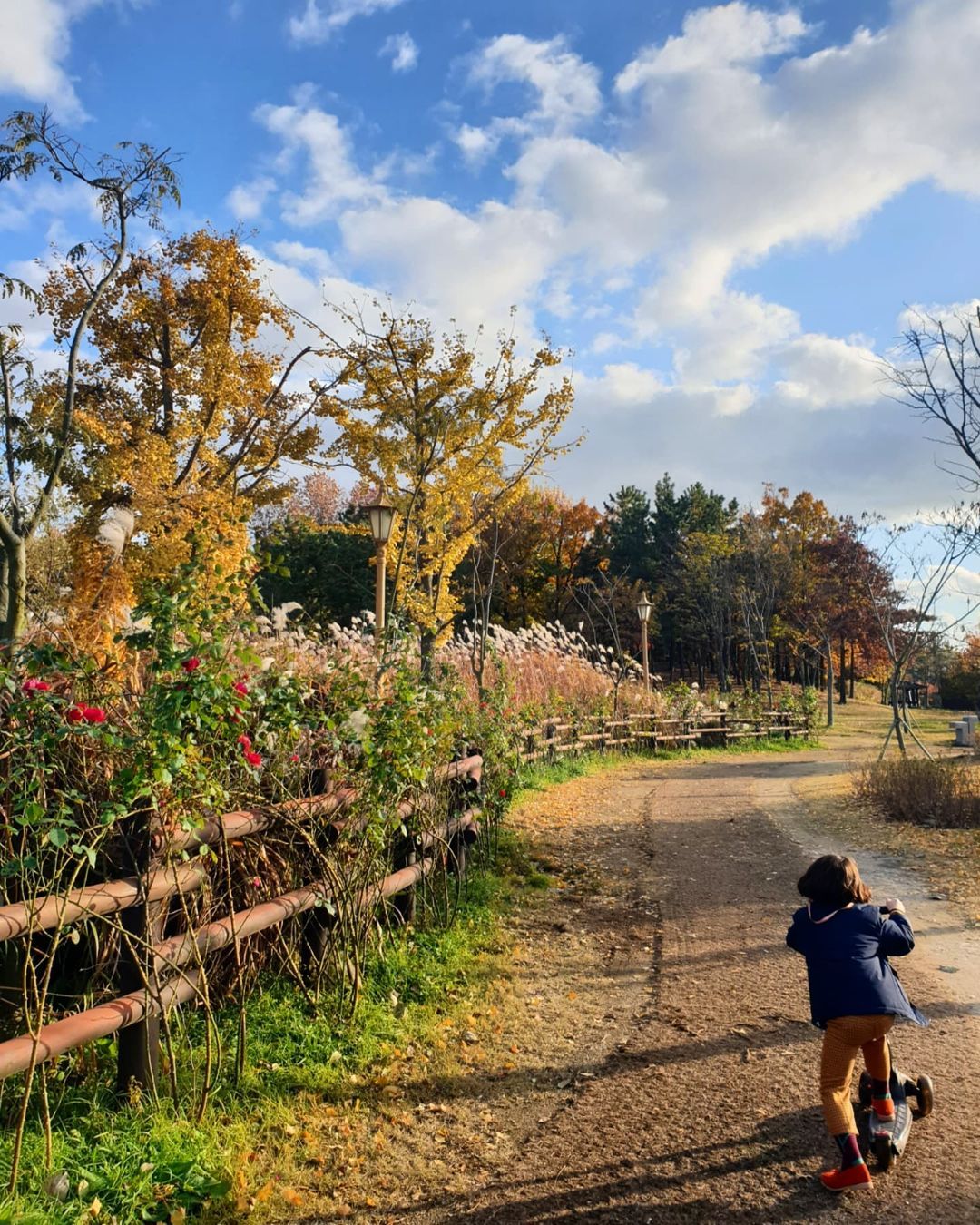 인천환경공단청라생태공원