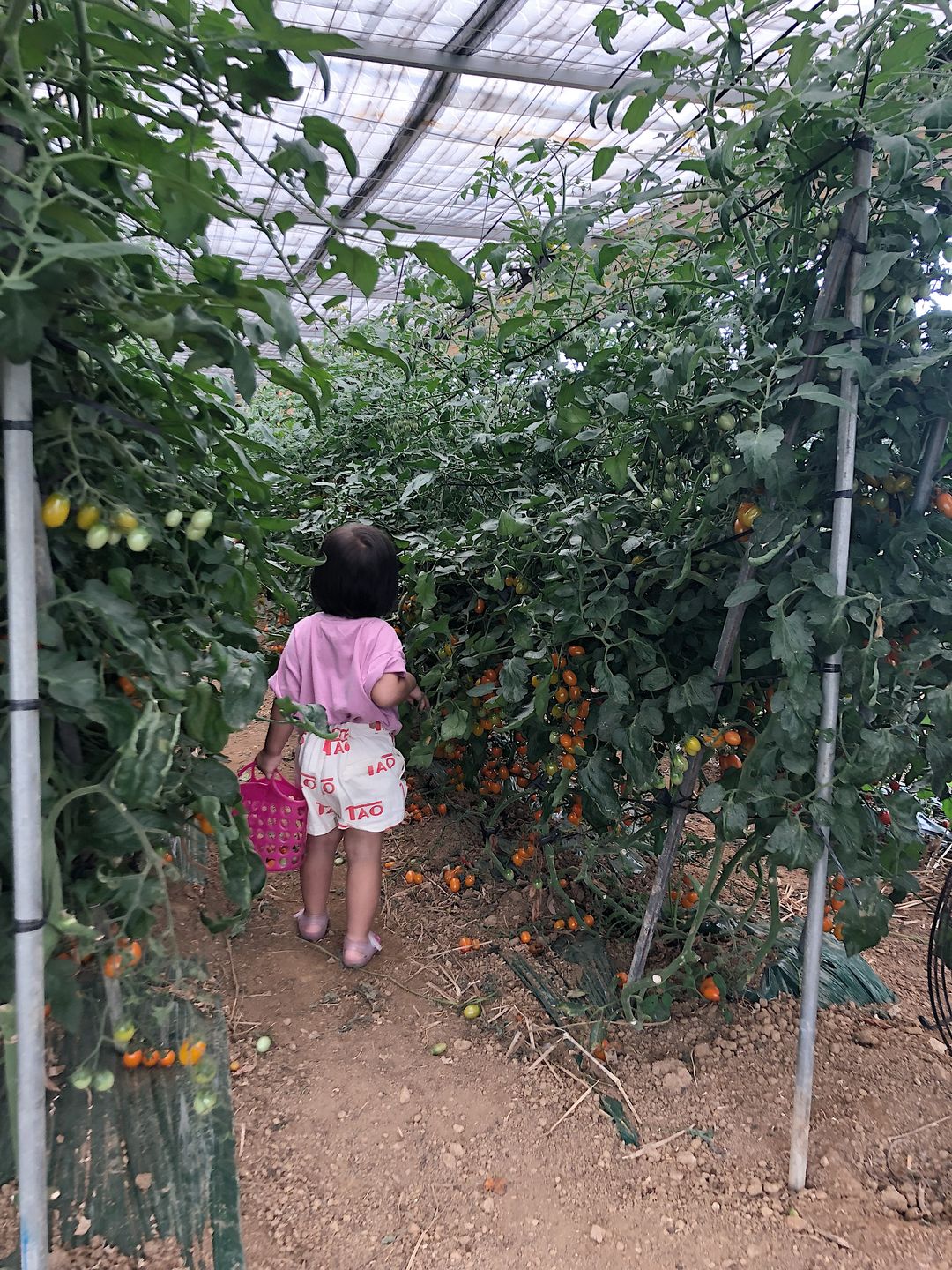 https://image.mom-mom.net/eyJidWNrZXQiOiJtb21tb20tbW9tc3RvdWNoIiwia2V5IjoibWlncmF0ZWQvcGxhY2VzLzY0MWMwYWQwODFkYjY4ZmJlZmU4ZjM4YyIsImVkaXRzIjp7InJlc2l6ZSI6eyJ3aWR0aCI6NTAwLCJ3aXRob3V0RW5sYXJnZW1lbnQiOnRydWV9fX0=