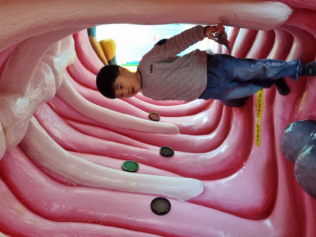 https://image.mom-mom.net/eyJidWNrZXQiOiJtb21tb20tbW9tc3RvdWNoIiwia2V5IjoibWlncmF0ZWQvcGxhY2VzLzY0MmJkZGQzODdkYjI3ZjYxZDZlNzYwZCIsImVkaXRzIjp7InJlc2l6ZSI6eyJ3aWR0aCI6NTAwLCJ3aXRob3V0RW5sYXJnZW1lbnQiOnRydWV9fX0=