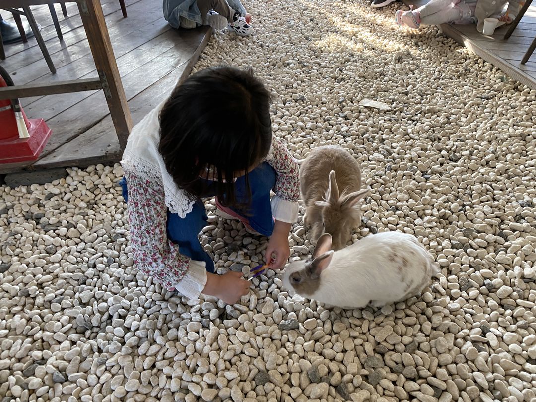 https://image.mom-mom.net/eyJidWNrZXQiOiJtb21tb20tbW9tc3RvdWNoIiwia2V5IjoibWlncmF0ZWQvcGxhY2VzLzY0MzUxMzg2ZjFmYjI4NzcwOWIxNWI3NSIsImVkaXRzIjp7InJlc2l6ZSI6eyJ3aWR0aCI6NTAwLCJ3aXRob3V0RW5sYXJnZW1lbnQiOnRydWV9fX0=