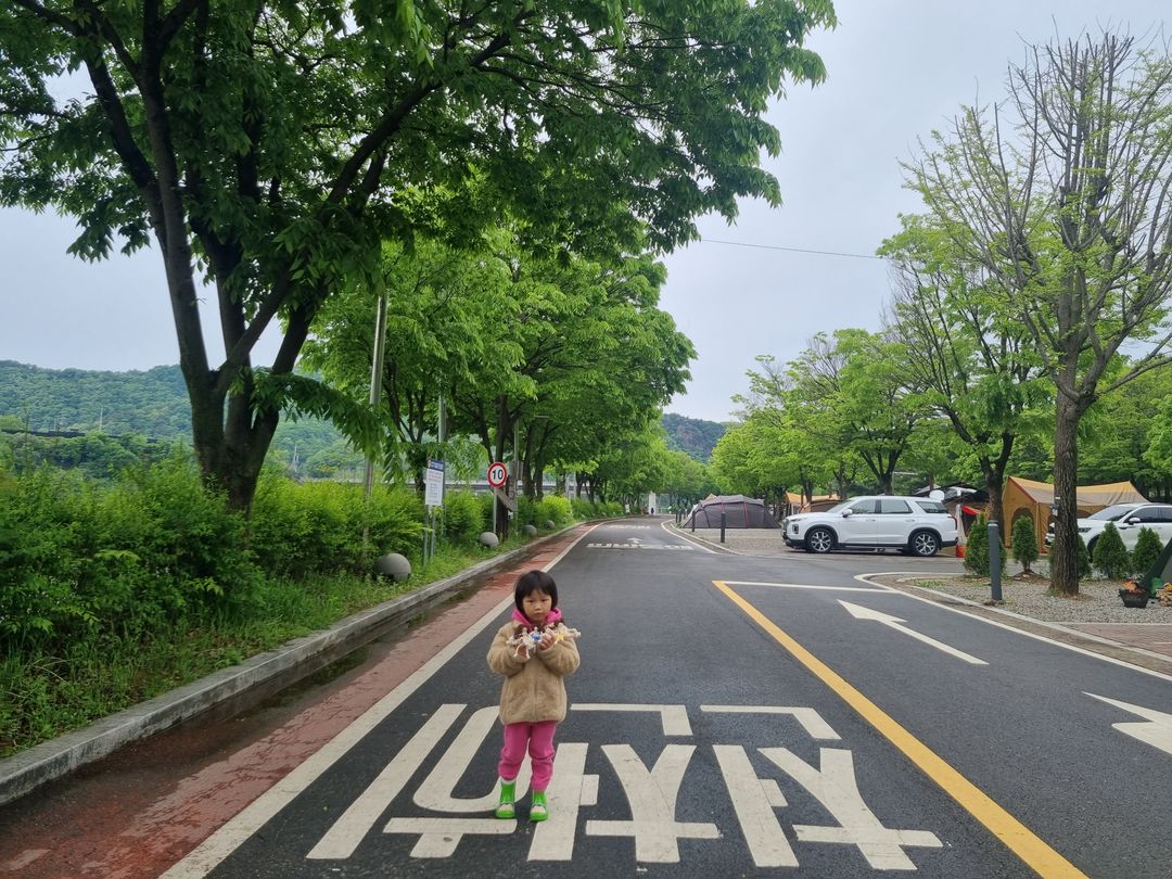https://image.mom-mom.net/eyJidWNrZXQiOiJtb21tb20tbW9tc3RvdWNoIiwia2V5IjoicGxhY2VzLzY0NWM3ZWY2OGRmMDEwYmM5YzFkMTk2MyIsImVkaXRzIjp7InJlc2l6ZSI6eyJ3aWR0aCI6NTAwLCJoZWlnaHQiOjM3NX19fQ==