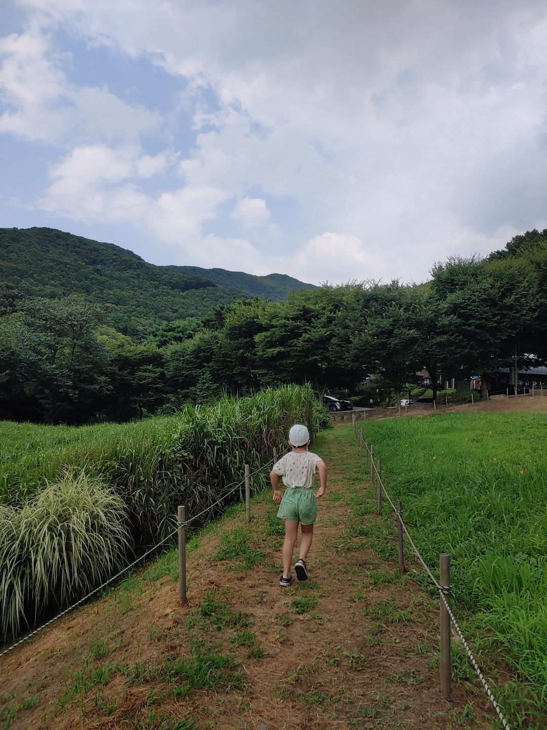 용인자연휴양림