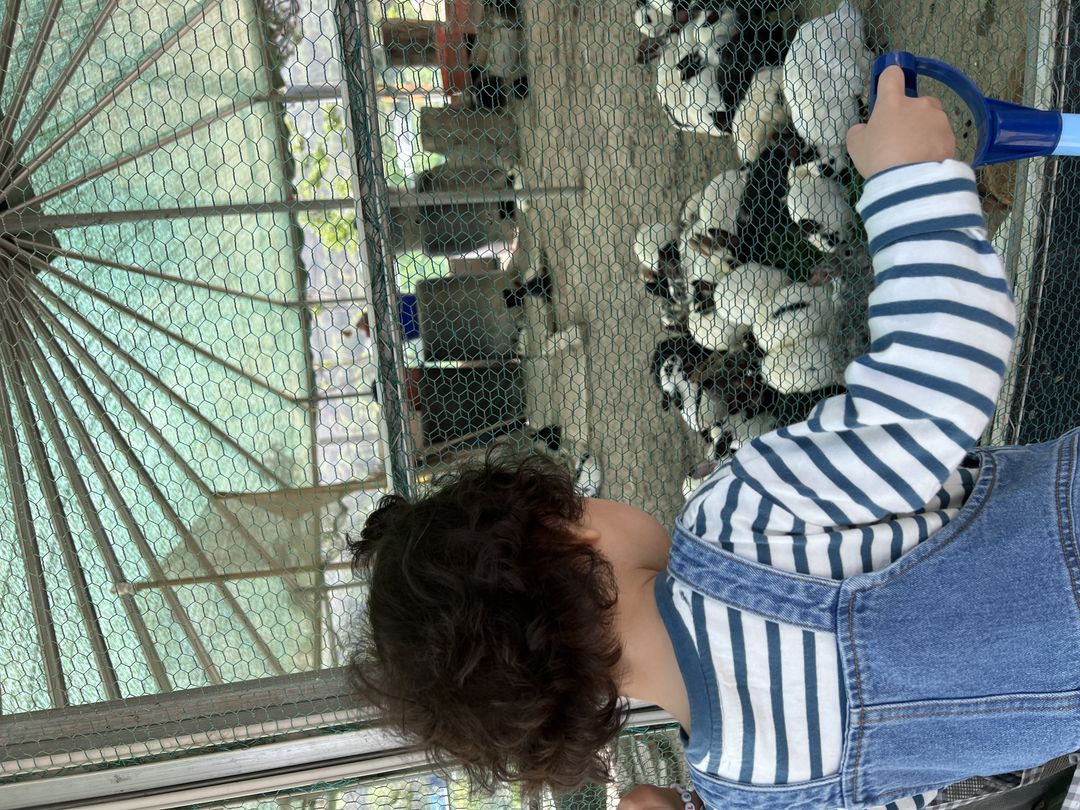https://image.mom-mom.net/eyJidWNrZXQiOiJtb21tb20tbW9tc3RvdWNoIiwia2V5IjoicGxhY2VzLzY0OGE3MDEwNjI5NmMwNzdhNjU5NjMxNCIsImVkaXRzIjp7InJlc2l6ZSI6eyJ3aWR0aCI6NTAwLCJoZWlnaHQiOjM3NX19fQ==