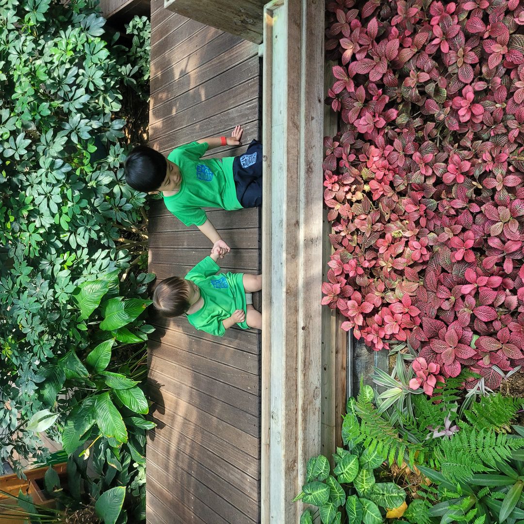 https://image.mom-mom.net/eyJidWNrZXQiOiJtb21tb20tbW9tc3RvdWNoIiwia2V5IjoicGxhY2VzLzY0OGIzNjA1NjI5NmMwNzdhNjVjMjUxMiIsImVkaXRzIjp7InJlc2l6ZSI6eyJ3aWR0aCI6NTAwLCJoZWlnaHQiOjUwMH19fQ==
