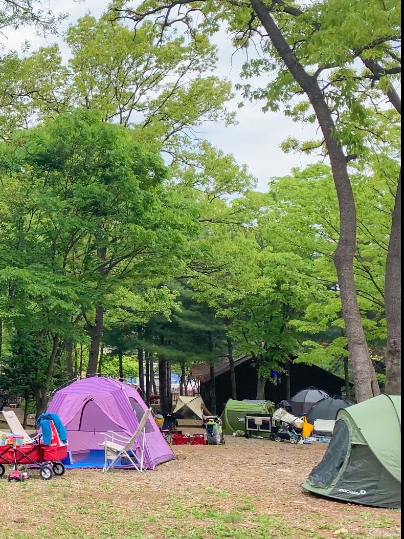 태산패밀리파크