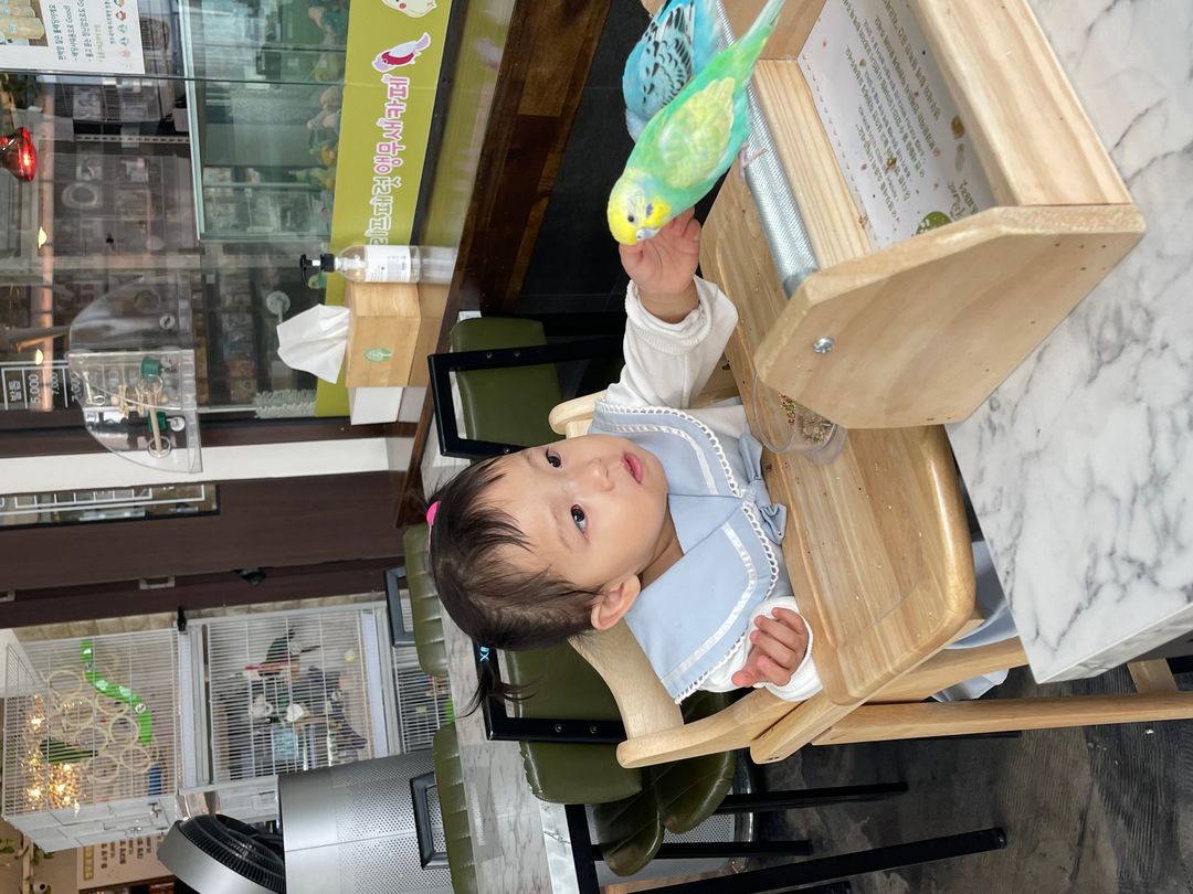리프패럿 영통점