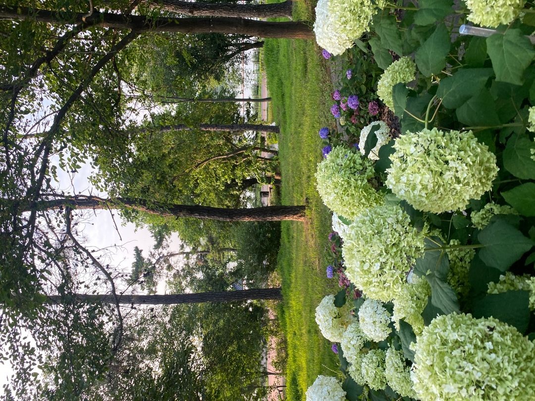 https://image.mom-mom.net/eyJidWNrZXQiOiJtb21tb20tbW9tc3RvdWNoIiwia2V5IjoicGxhY2VzLzY0YTI3MDI4YTJkOTI1YTVmMzJlNzRiYiIsImVkaXRzIjp7InJlc2l6ZSI6eyJ3aWR0aCI6NTAwLCJoZWlnaHQiOjM3NX19fQ==