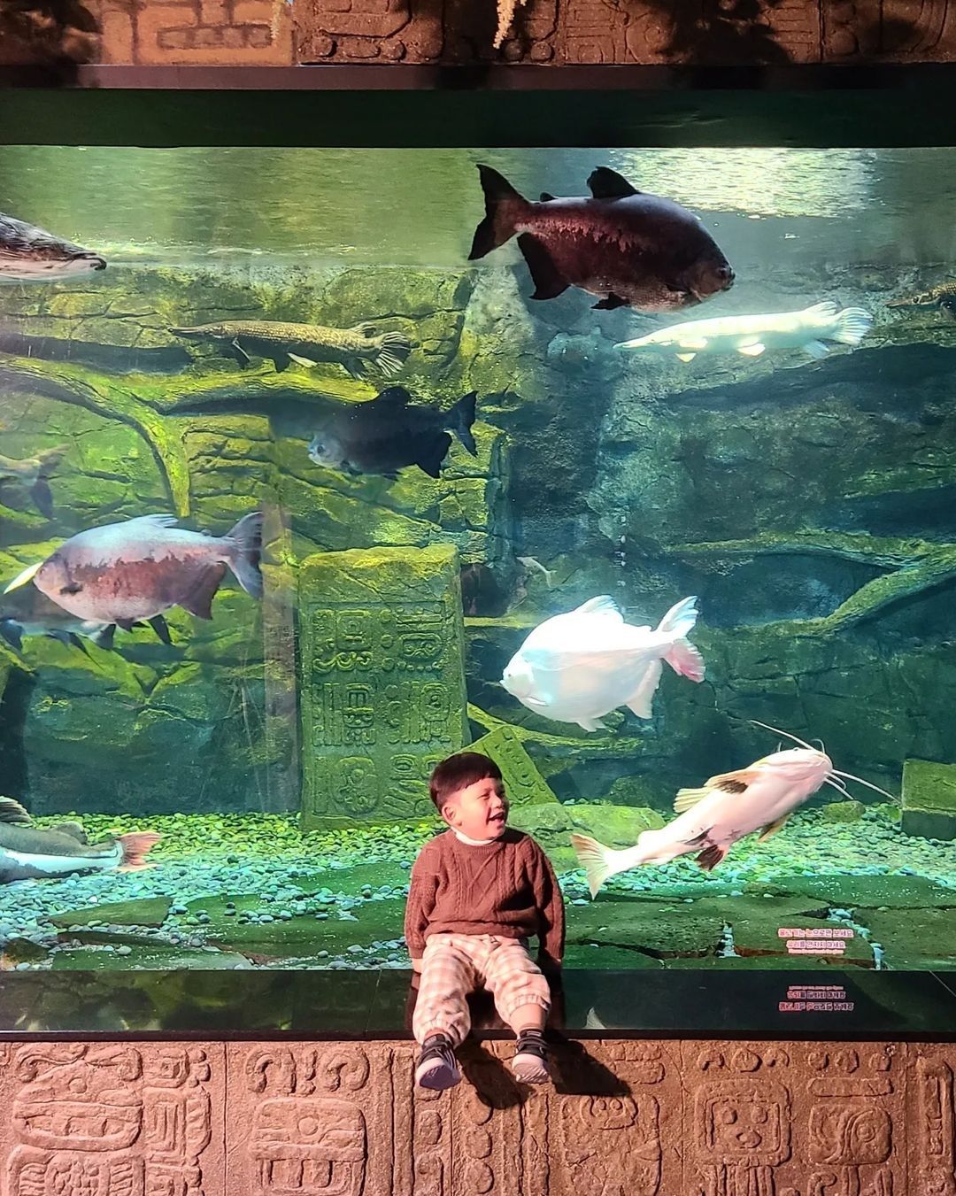 https://image.mom-mom.net/eyJidWNrZXQiOiJtb21tb20tbW9tc3RvdWNoIiwia2V5IjoicGxhY2VzLzY0YTY2N2YzMGFkNThhMWU5ZDJkMzViNiIsImVkaXRzIjp7InJlc2l6ZSI6eyJ3aWR0aCI6Mzk5LCJoZWlnaHQiOjUwMH19fQ==