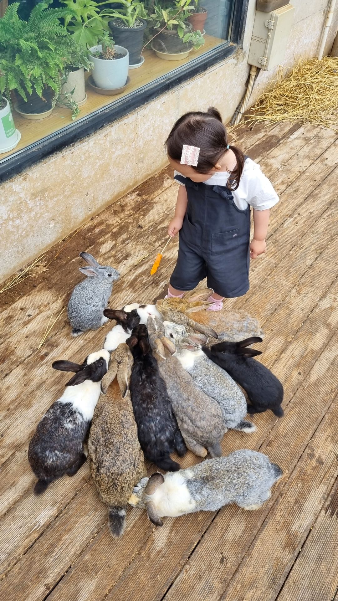 https://image.mom-mom.net/eyJidWNrZXQiOiJtb21tb20tbW9tc3RvdWNoIiwia2V5IjoicGxhY2VzLzY0YWY2NTE2ZGUwMTA4ZWNlNjRjMWU4NSIsImVkaXRzIjp7InJlc2l6ZSI6eyJ3aWR0aCI6MjgxLCJoZWlnaHQiOjUwMH19fQ==
