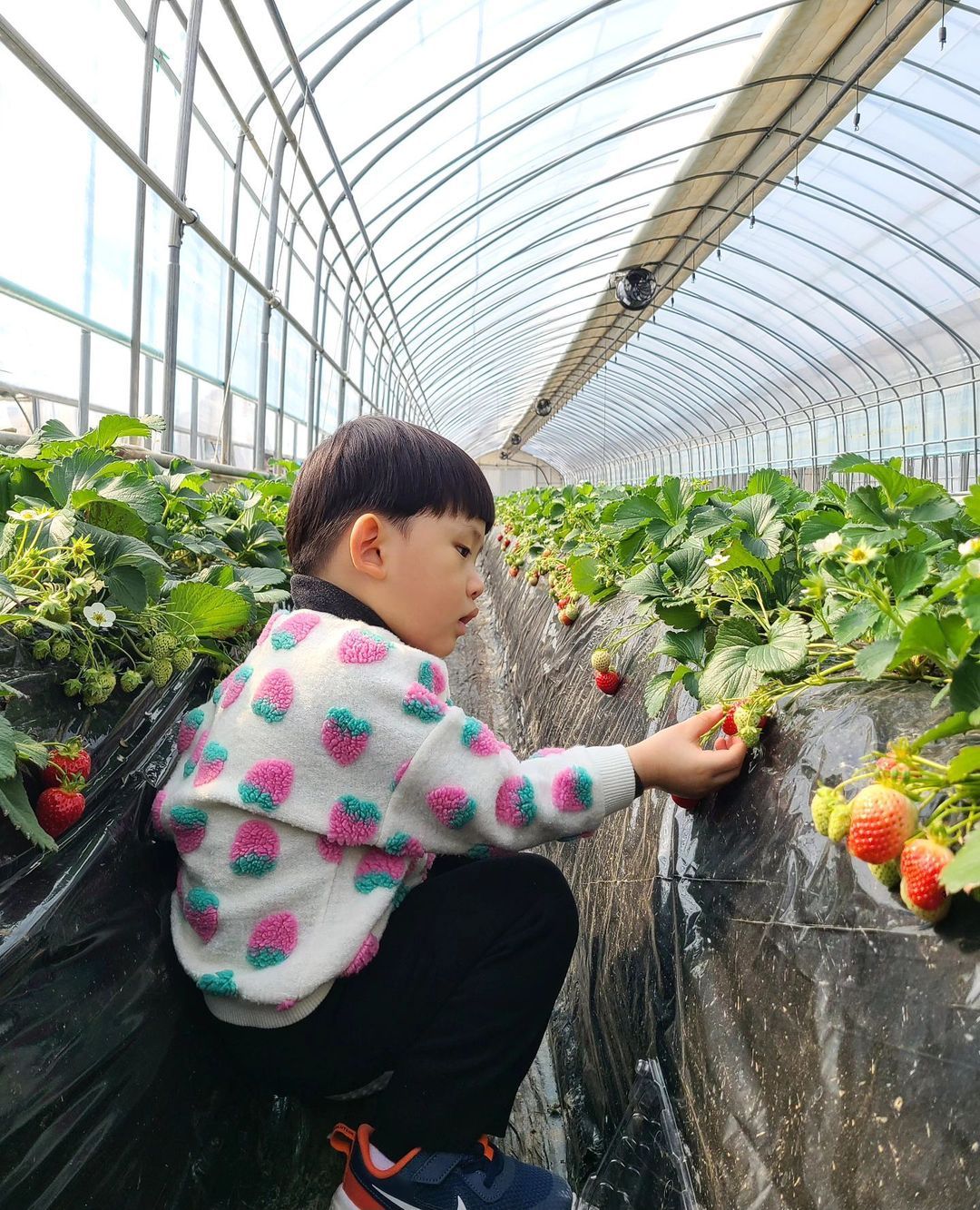 초록향기 농부의학교